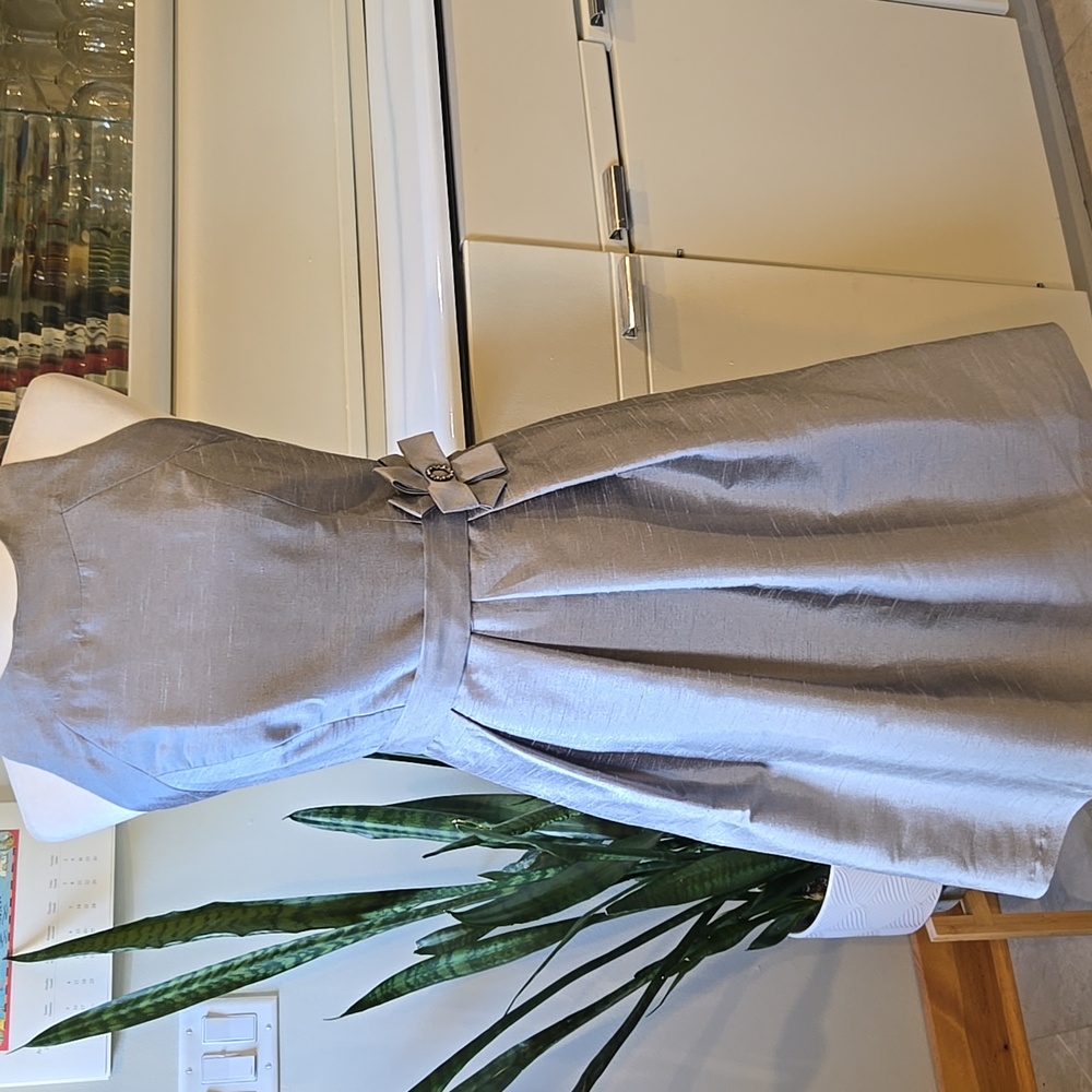 EUC Gray/Silver Alfred Sung Dress Size 4